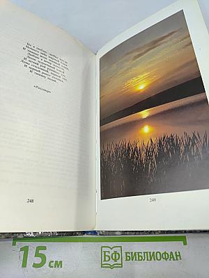 Душа моя. Все мысли мои в России