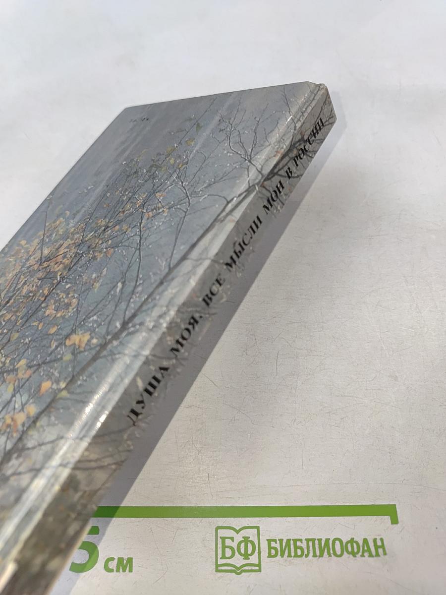 Душа моя. Все мысли мои в России