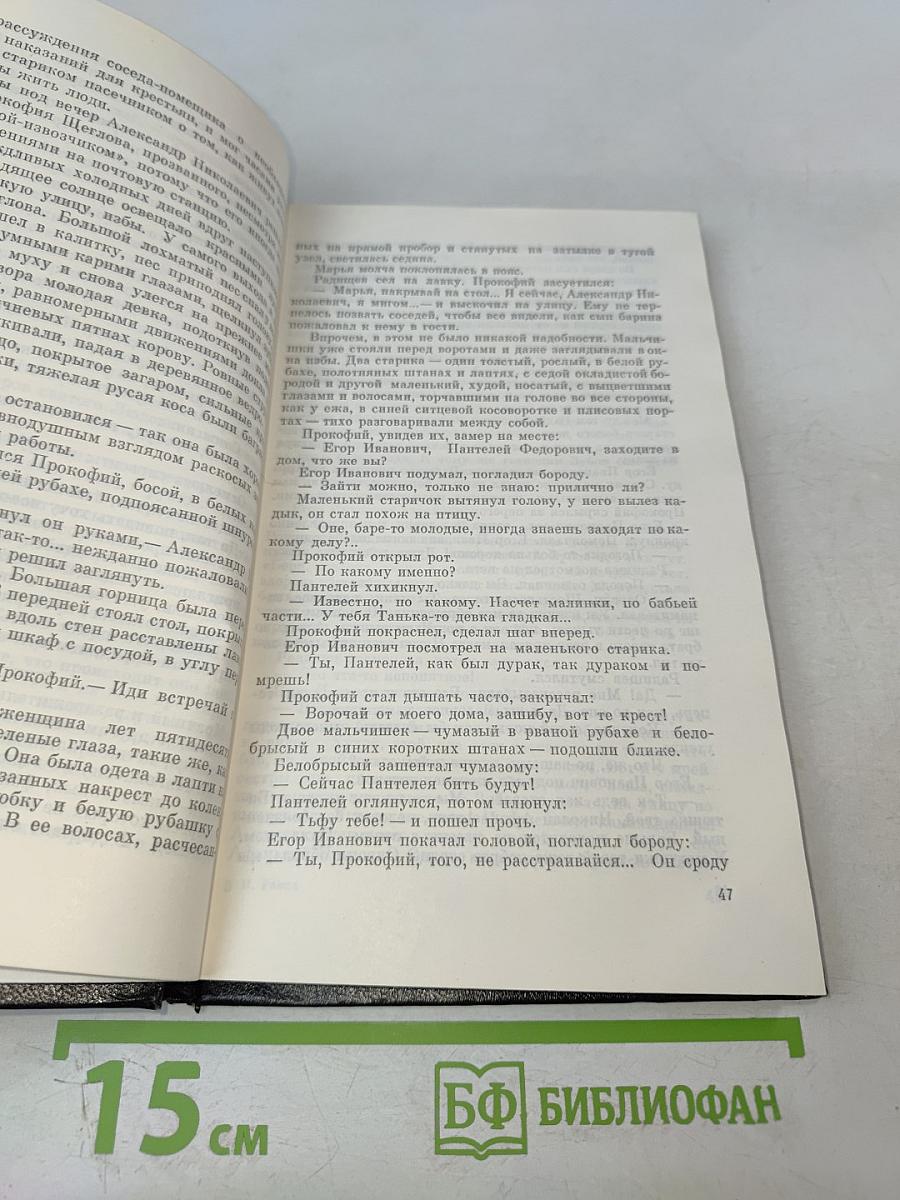 Две столицы