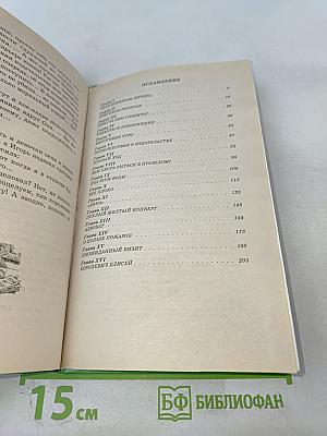 Кто украл роман?