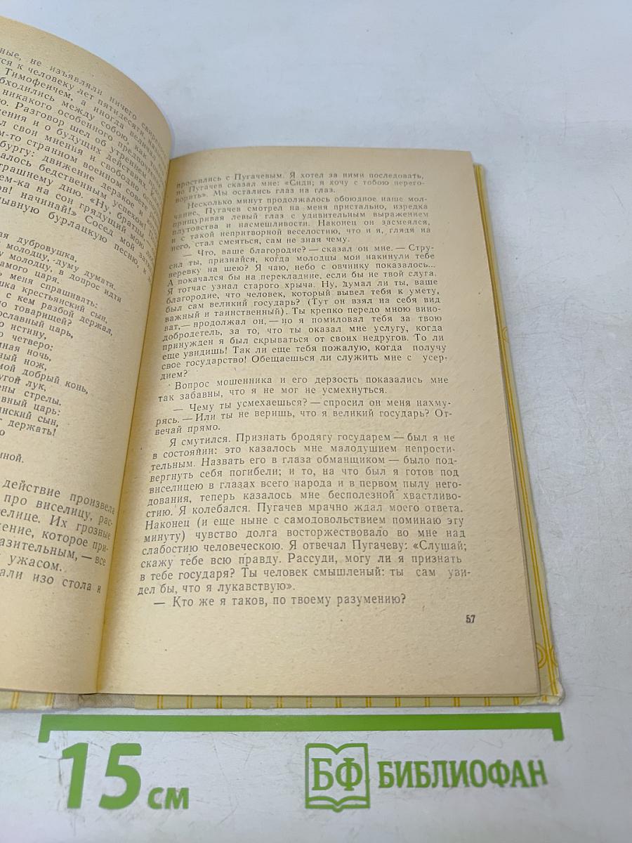 Капитанская дочка; Дубровский