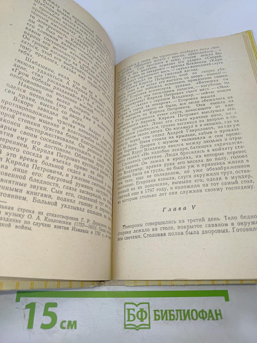 Капитанская дочка; Дубровский