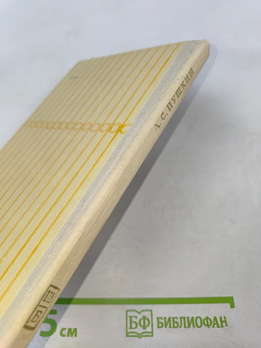 Капитанская дочка; Дубровский