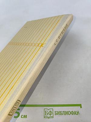 Капитанская дочка; Дубровский