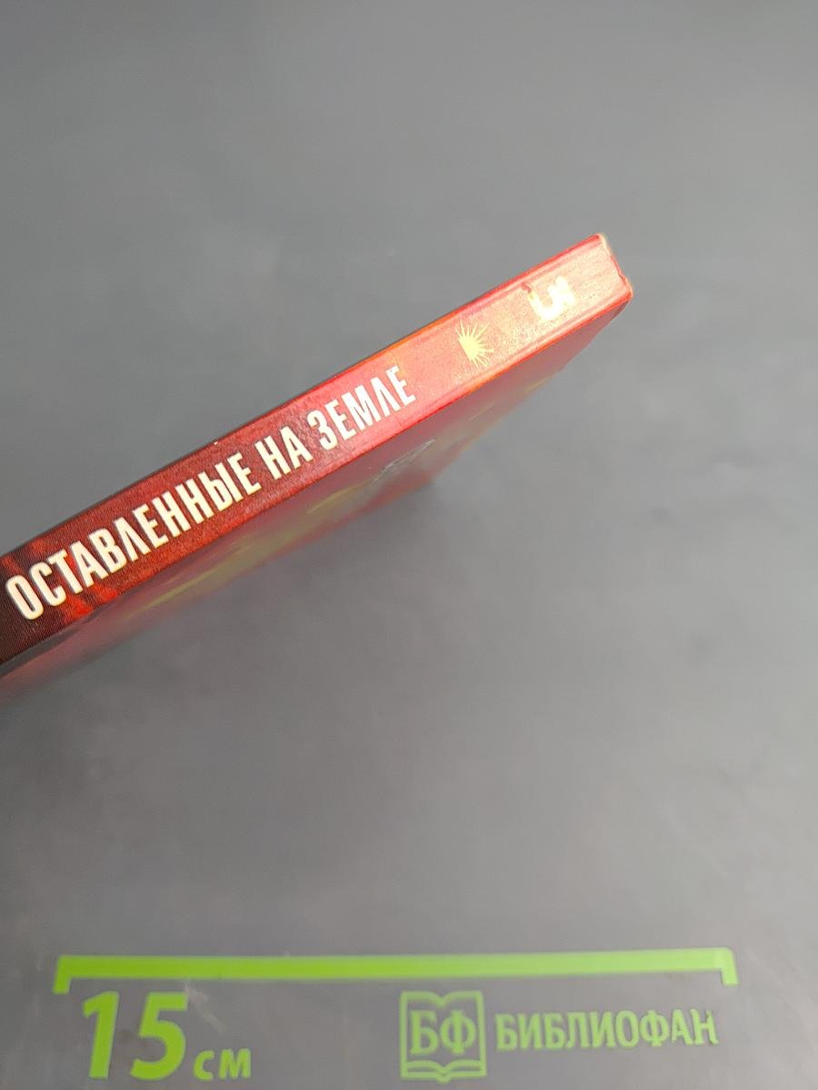 Оставленные на Земле. Книга третья: Сквозь огонь