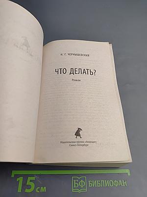 Что делать?