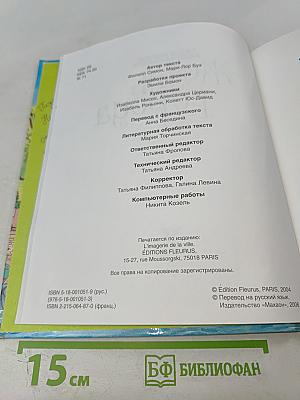 Жизнь города