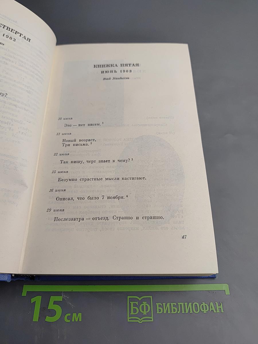 Записные книжки 1901–1920