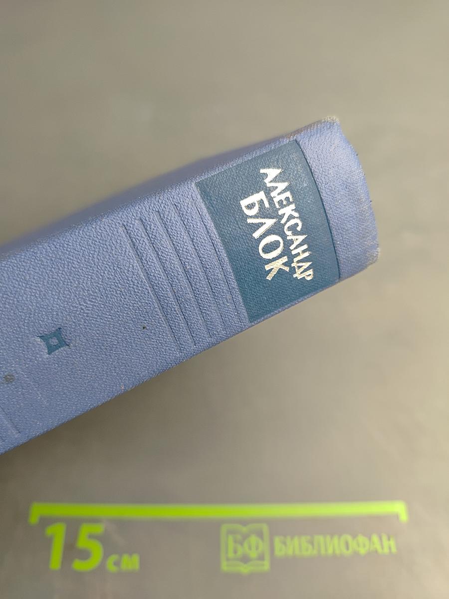 Записные книжки 1901–1920