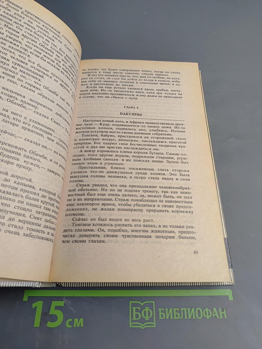 Тарзан: Тарзан торжествующий, Тарзан и Человек-Лев