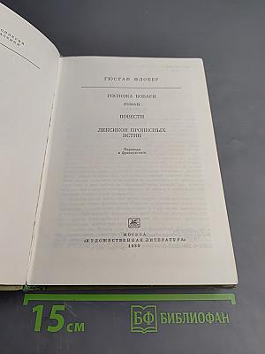 Госпожа Бовари. Повести. Лексикон прописных истин