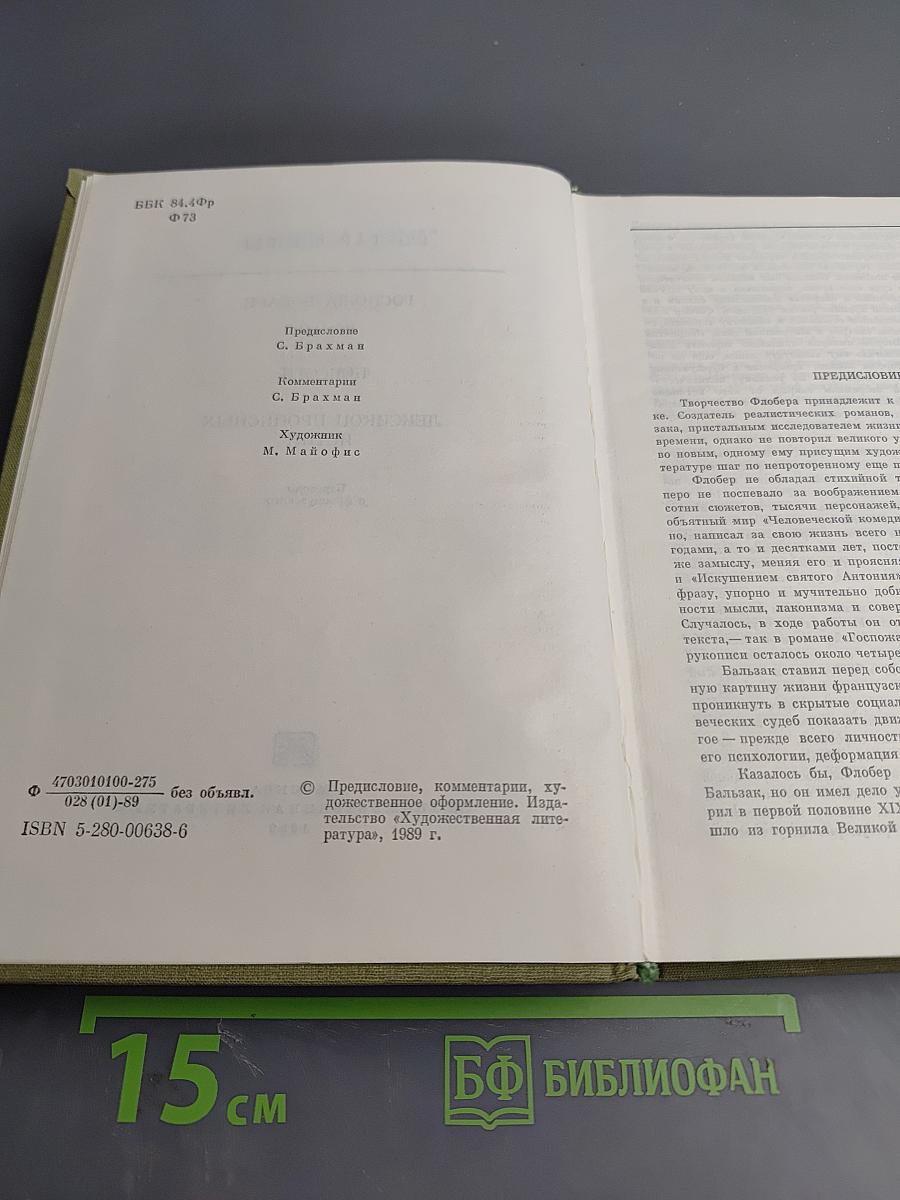 Госпожа Бовари. Повести. Лексикон прописных истин