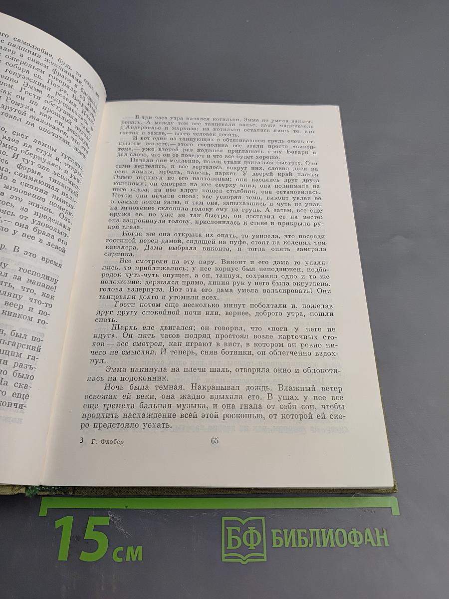 Госпожа Бовари. Повести. Лексикон прописных истин