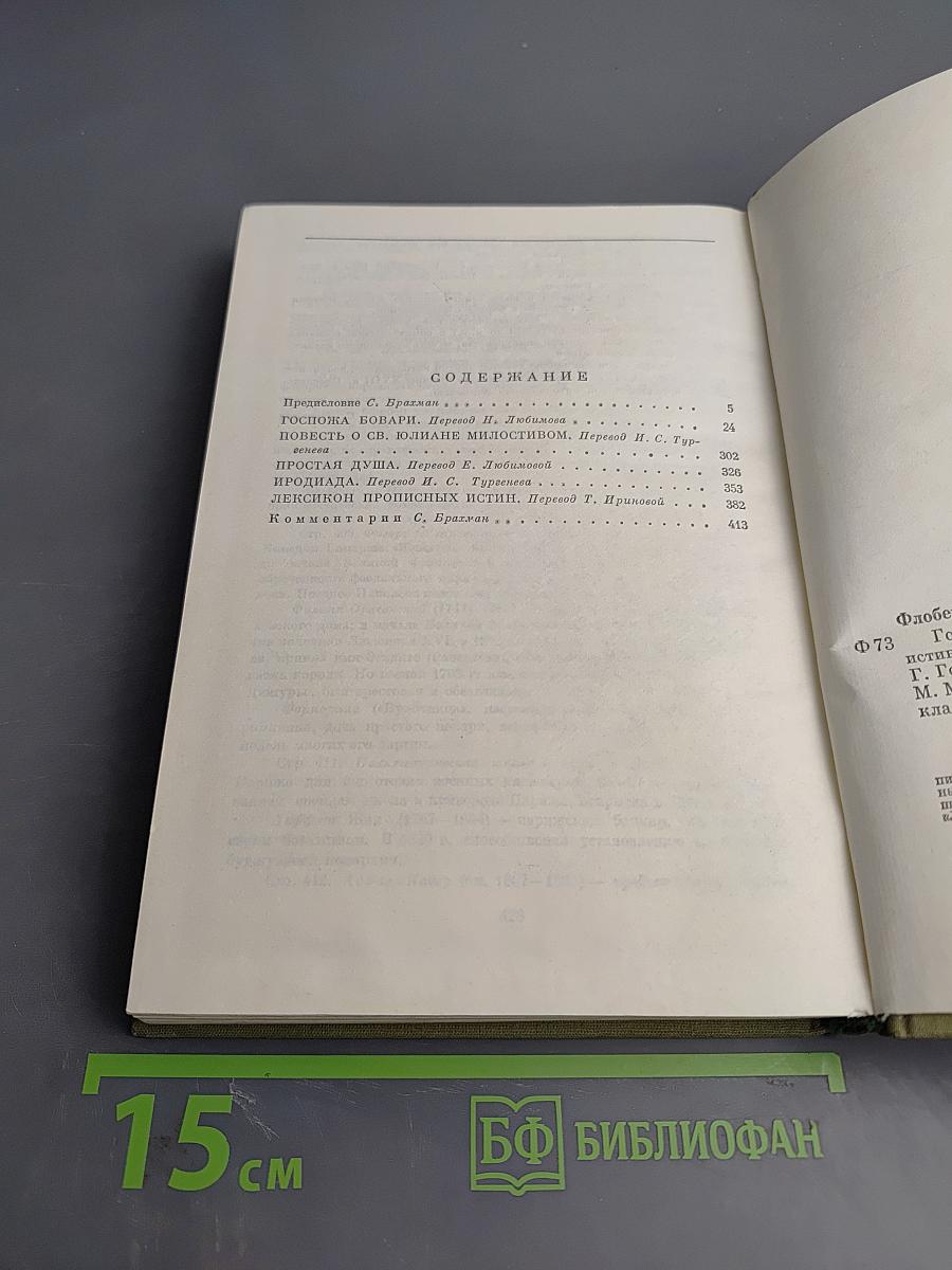 Госпожа Бовари. Повести. Лексикон прописных истин