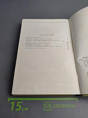 Госпожа Бовари. Повести. Лексикон прописных истин