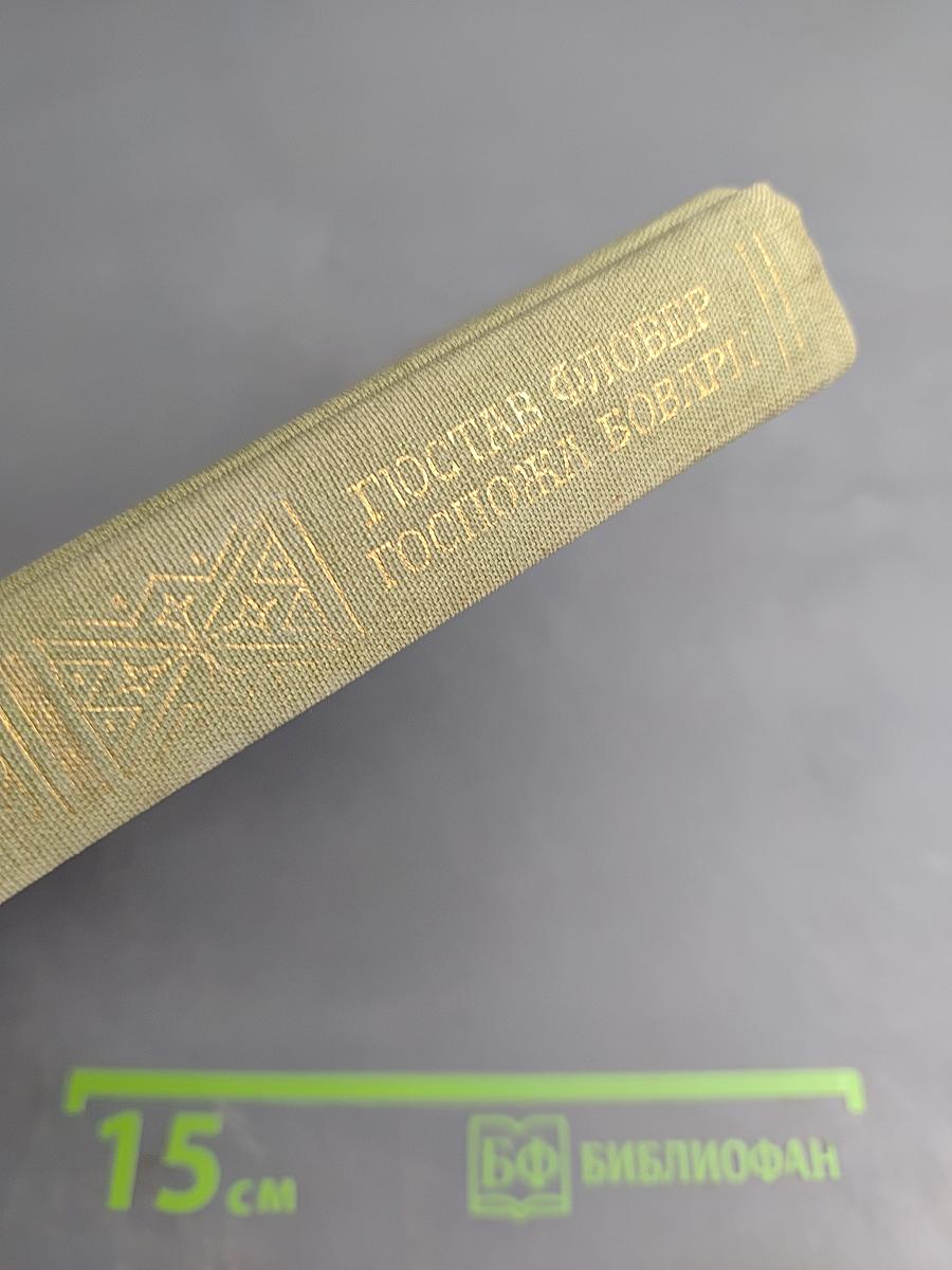 Госпожа Бовари. Повести. Лексикон прописных истин