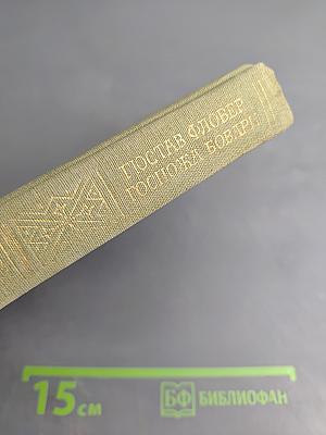 Госпожа Бовари. Повести. Лексикон прописных истин