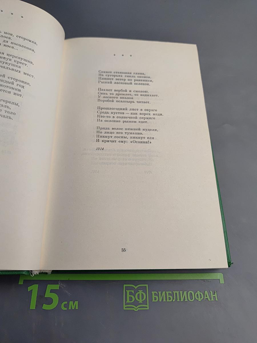 Сергей Есенин. Собрание сочинений в двух томах. Том 1: Стихотворения, поэмы