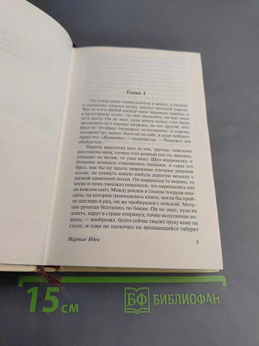 Мартин Иден