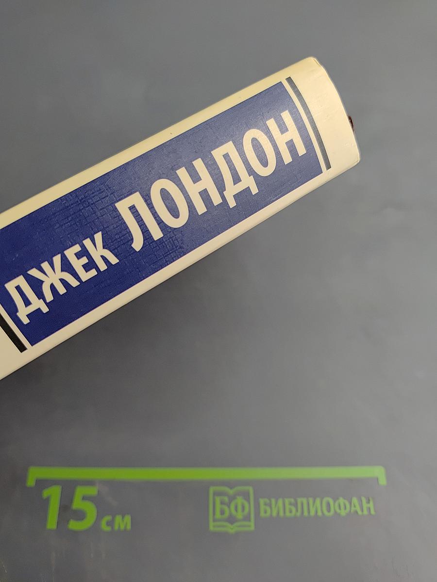 Мартин Иден