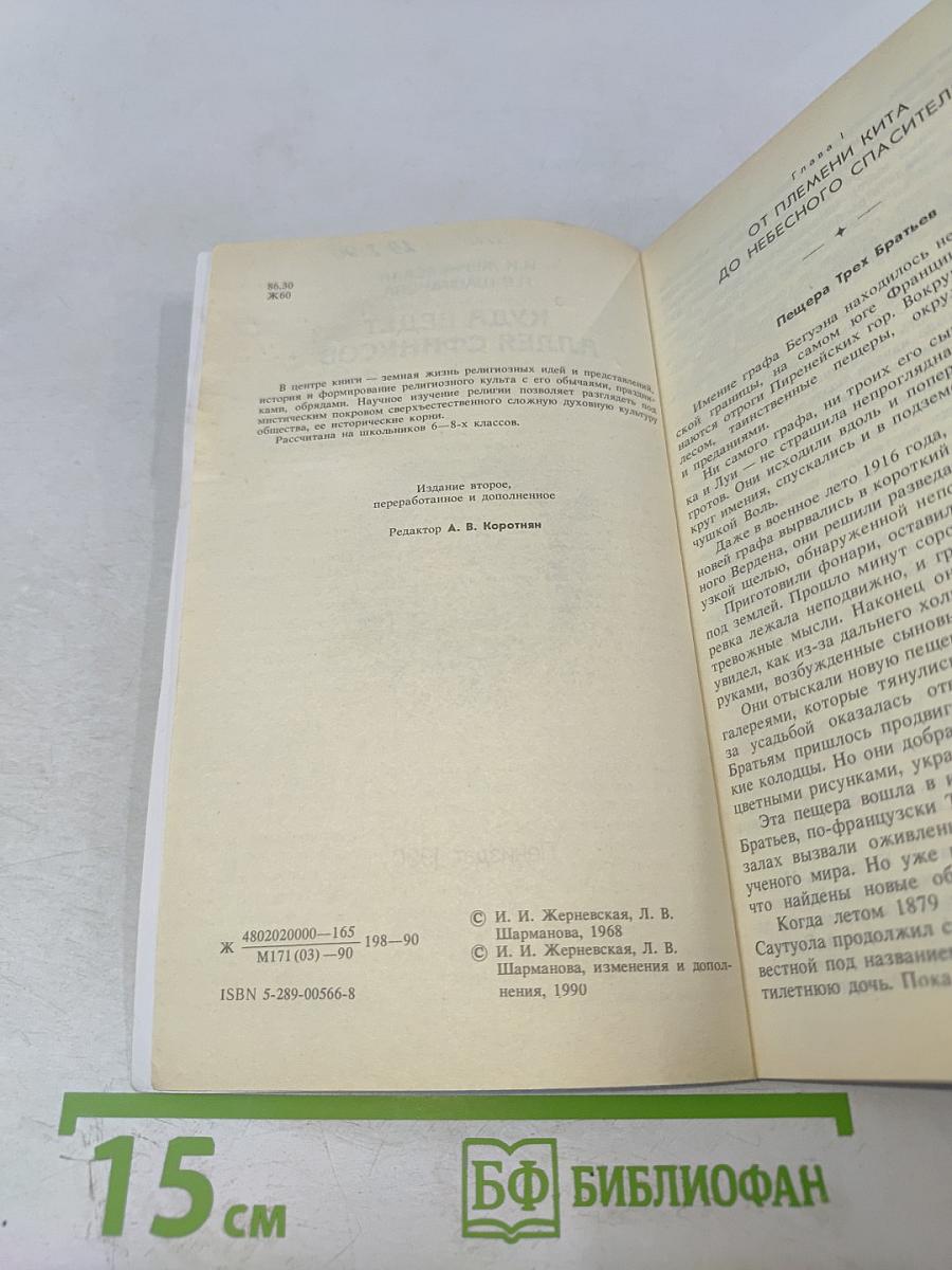 Куда ведет Аллея Сфинксов