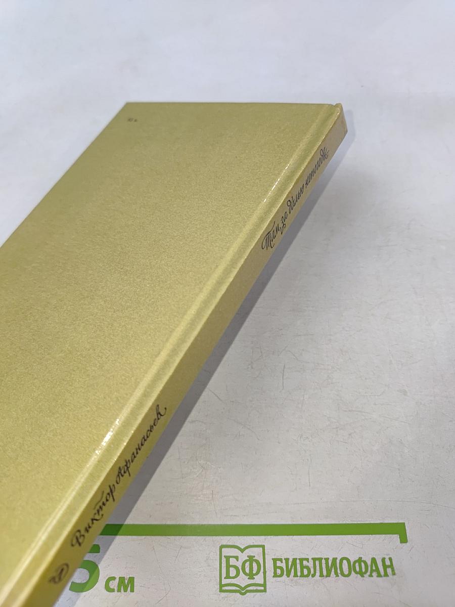 Там, за далью непогоды...