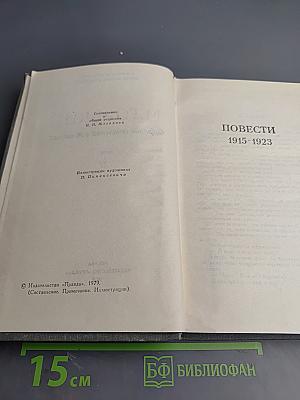 Собрание сочинений в 16 томах. Том 9: Повести 1915-1923