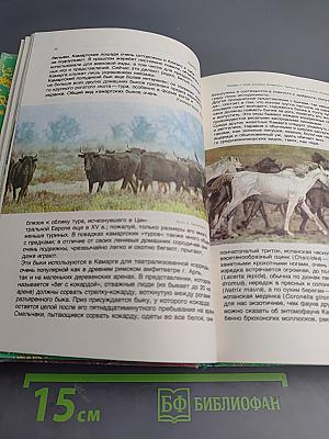 Заповедными тропами зарубежных стран