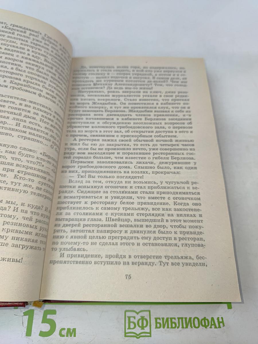 Мастер и Маргарита. Книга для ученика и учителя. Критика и комментарии. Темы и развернутые планы сочинений. Материалы для подготовки к уроку