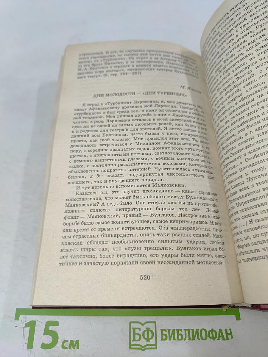 Мастер и Маргарита. Книга для ученика и учителя. Критика и комментарии. Темы и развернутые планы сочинений. Материалы для подготовки к уроку