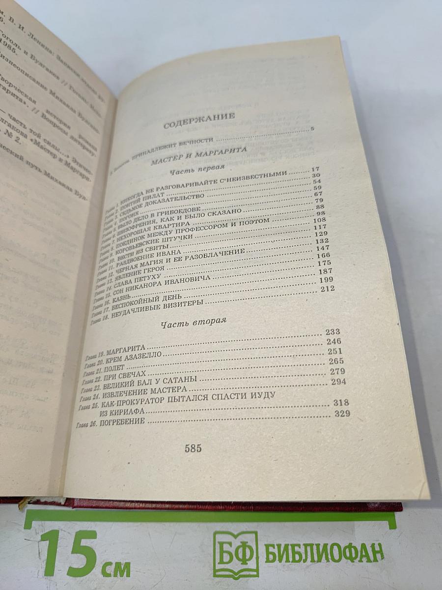 Мастер и Маргарита. Книга для ученика и учителя. Критика и комментарии. Темы и развернутые планы сочинений. Материалы для подготовки к уроку