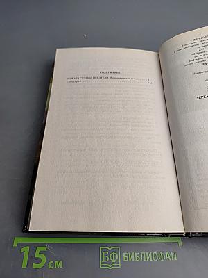 Зеркала судьбы. Искатели