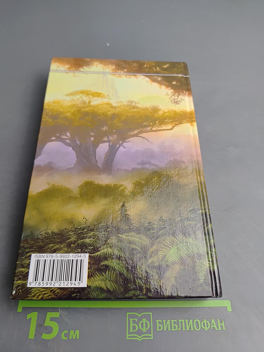 Зеркала судьбы. Искатели