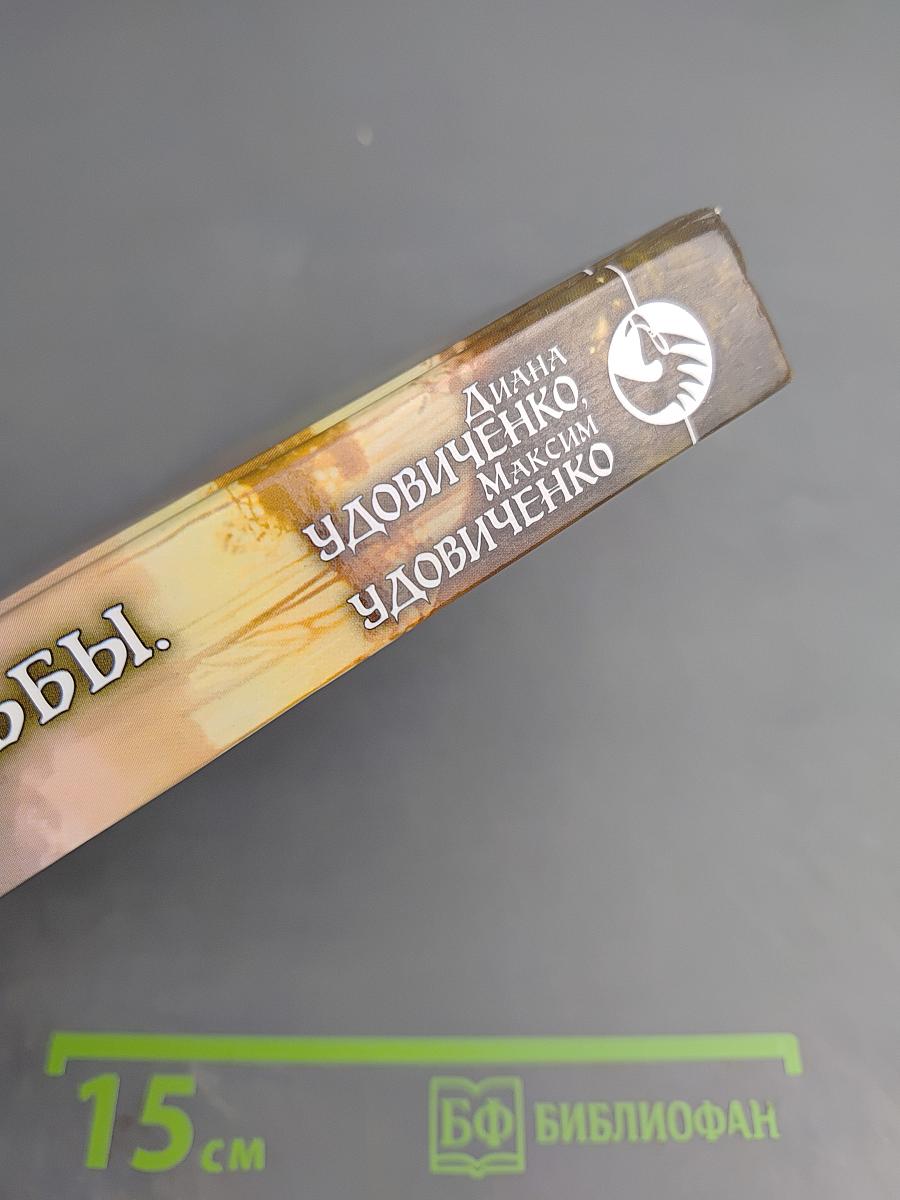 Зеркала судьбы. Искатели