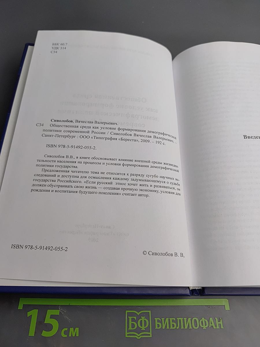 Общественная среда как условие формирования демографической политики современной России