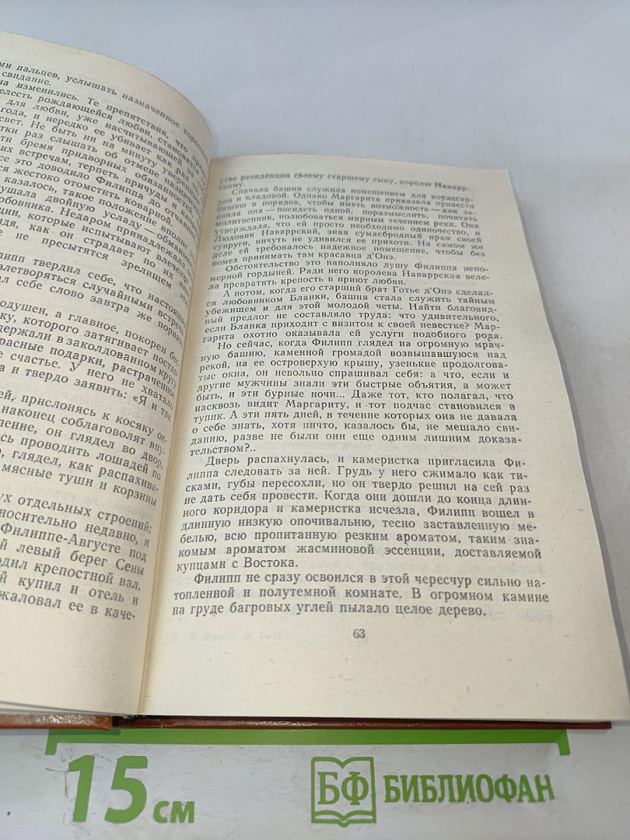 Железный король. Узница Шато-Гайара