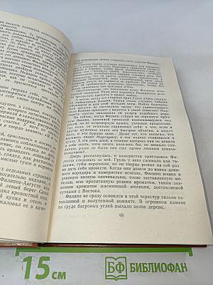 Железный король. Узница Шато-Гайара