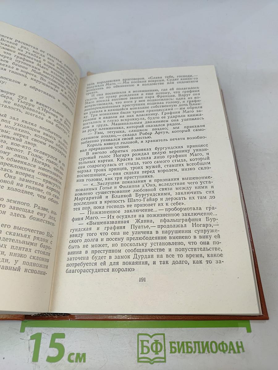 Железный король. Узница Шато-Гайара