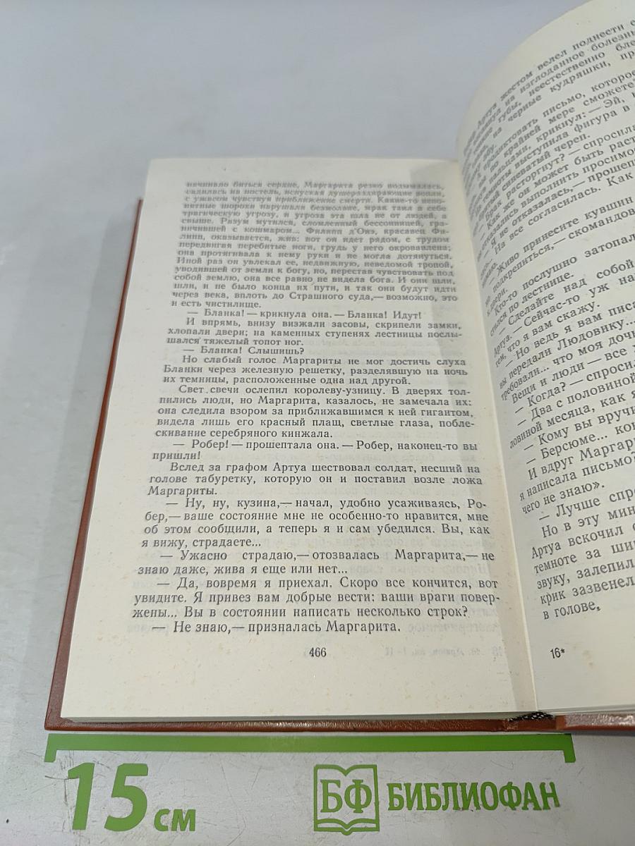 Железный король. Узница Шато-Гайара