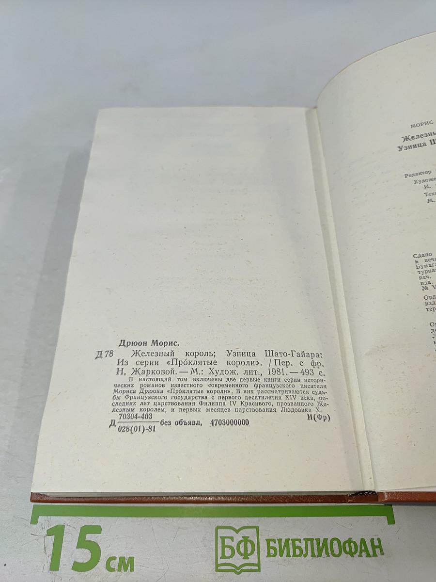 Железный король. Узница Шато-Гайара