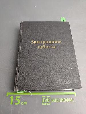 Завтрашние заботы