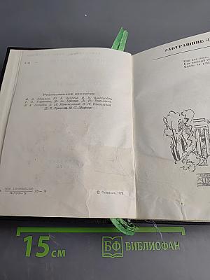 Завтрашние заботы