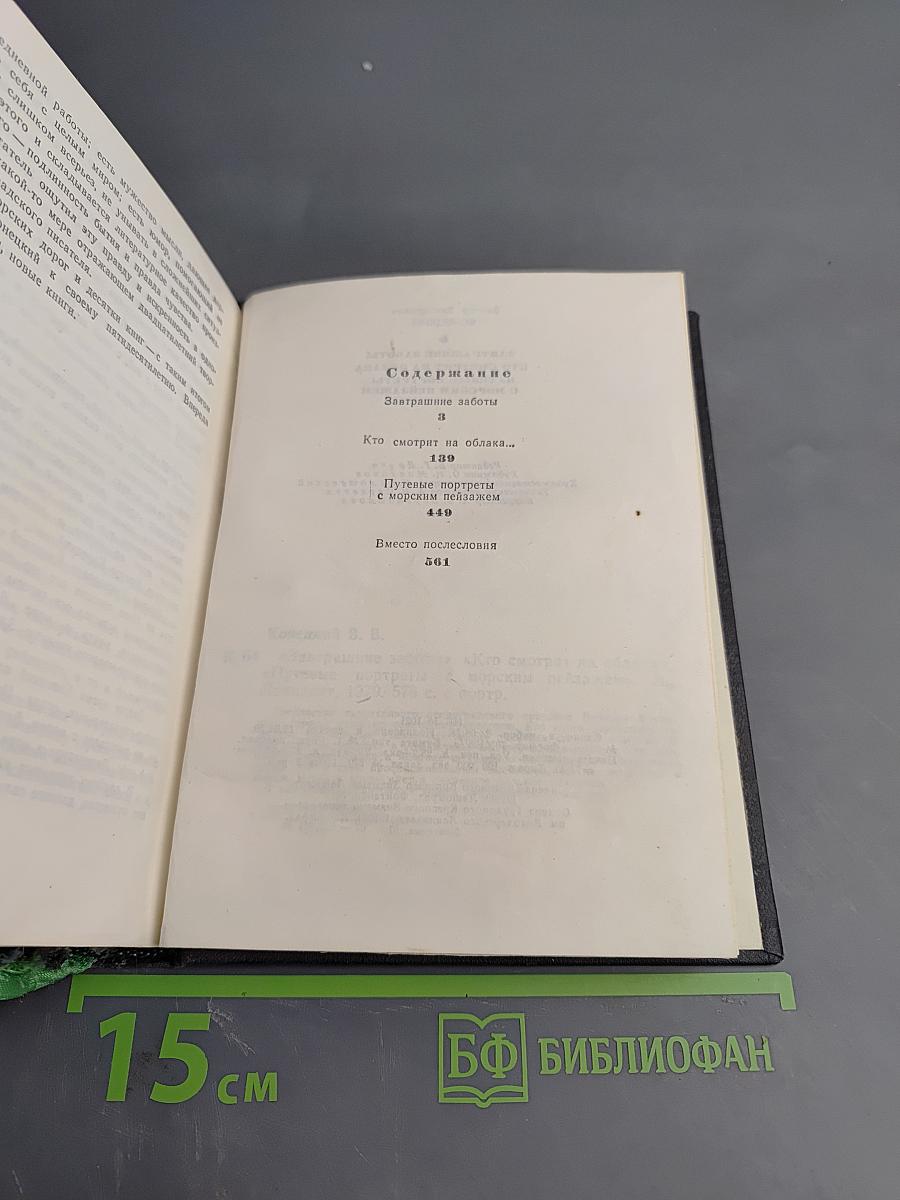 Завтрашние заботы