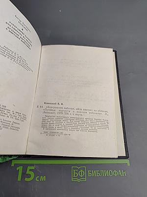 Завтрашние заботы