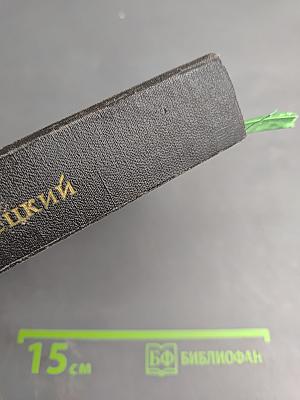 Завтрашние заботы