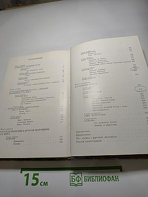 Рассказ о русской живописи