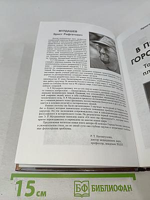 В поисках города богов. Том 2. Золотые пластины Харати