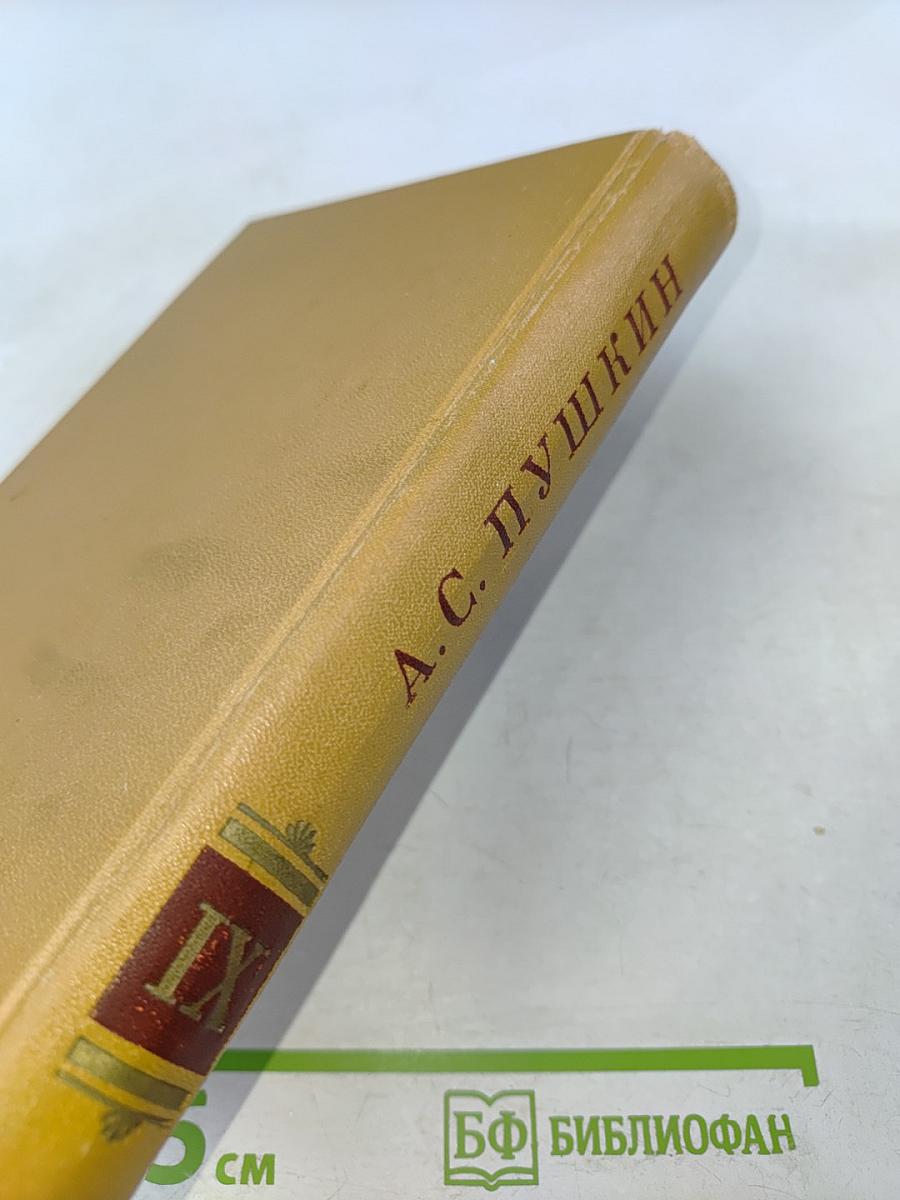 Полное собрание сочинений. Том IX: История Петра. Заметки о Камчатке