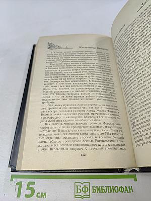 Любовь и замки. Книга первая