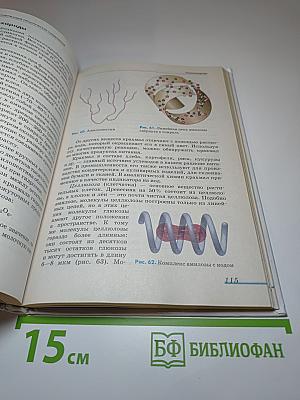 Химия 10 класс. Базовый уровень